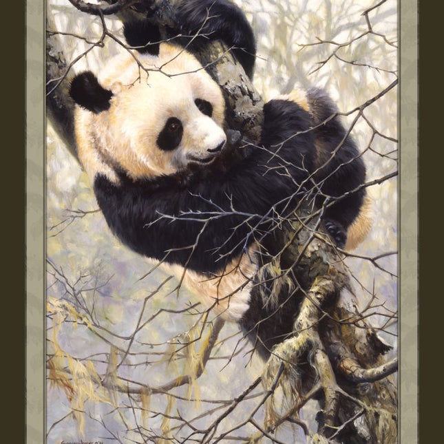 Panda Trilogy In Tree 45" Wide Cotton Panel Fabric