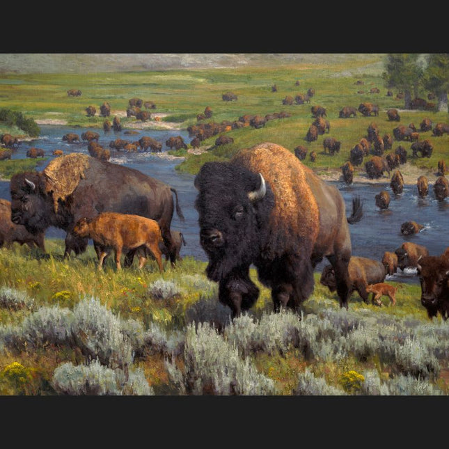 45" An American Migration Buffalo Cotton Panel