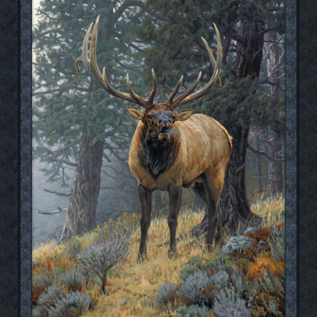 Foggy Mountain Challenge Cotton Panel
