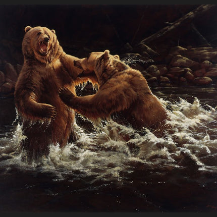 Clash Bears Panel Cotton Fabric