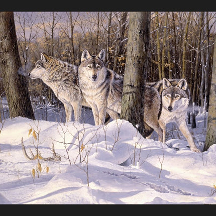 Silent Tracker Wolf Panel Cotton Fabric