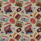 Set of 2 Placemats