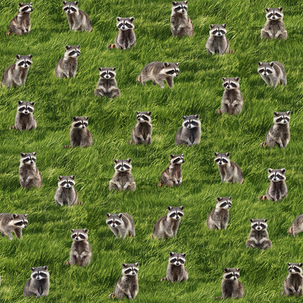 Handmade Valance or Curtain Panel The Bandits Raccoon