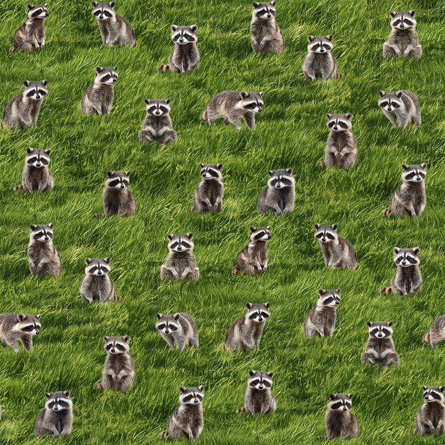 Handmade Valance or Curtain Panel The Bandits Raccoon