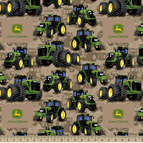 Set of 2 Placemats