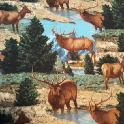Elk Scenic Bulls Cotton Fabric