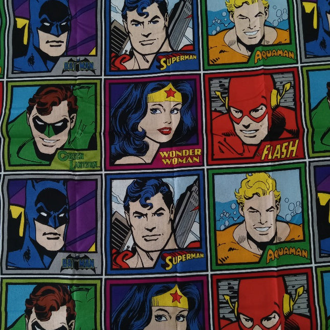 DC  Justice League Meet the Heroes Cotton Fabric