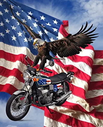 Biker Eagle 45" Wide Panel Fabric