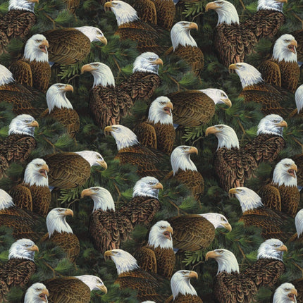 Eagles Flying High Allover Cotton Fabric