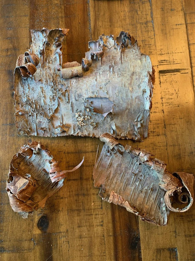 Crafting Birch Bark by the Pound