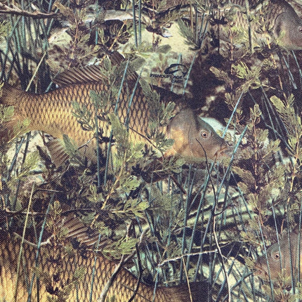 FishouFlage Carp Outdoor PVC Backing Fabric