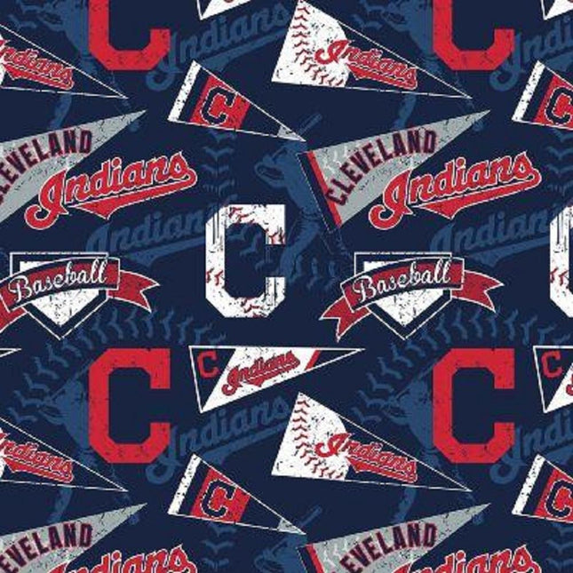 Indians Flag Cotton Fabric