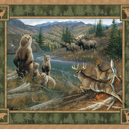Northern Rim Panel Fabric
