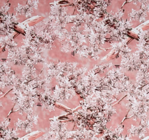 Pillowcase - King Camo Pink Cotton